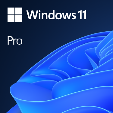 Windows 10 Pro